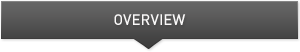 Overview