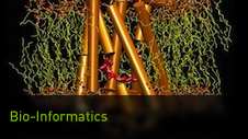Bioinformatics and Life Sciences