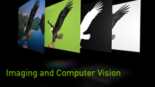 Imaging and Computer Vision