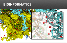 BIOINFORMATICS