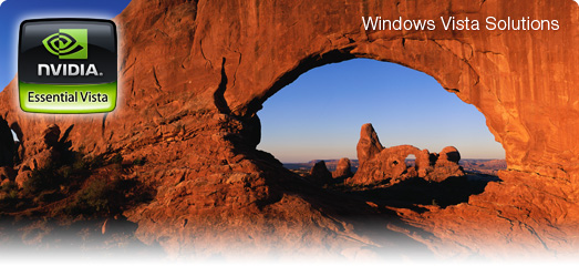 NVIDIA Windows Vista Solutions