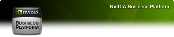 NVIDIA Business Platform