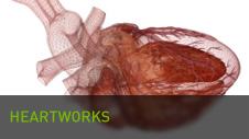 Heartworks Heartworks