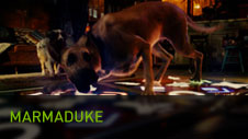 Marmaduke Marmaduke