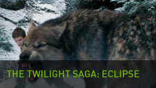 The Twilight Saga: Eclipse The Twilight Saga Eclipse