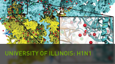 University of Illinois