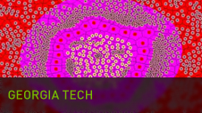 Georgia Tech