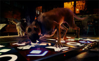 Marmaduke Marmaduke