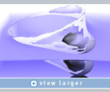 Side views, reflections, distortions from the splashing fluid—great attention to detail can be achieved using NVIDIA graphics and Frantic tools. 