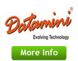 Datamini