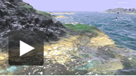 Water Demo