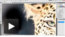 Brush Resizing Brush Resizing