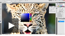 Color Dropper Color Dropper