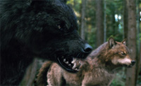Twilight Saga: Eclipse Twilight Saga: Eclipse